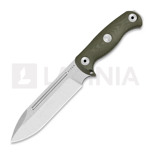 Kizer Cutlery Drop Bear Fix 7 AEB-L kniv, Green Micarta