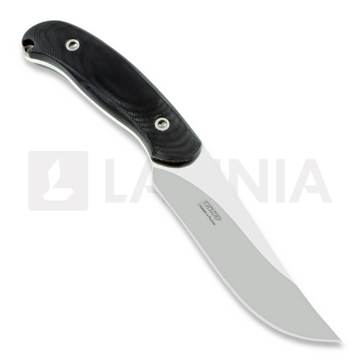 Kizlyar Kasatka (Касатка) peilis