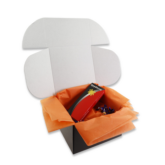 Lamnia Mystery Box "Heteropoda Venatoria"