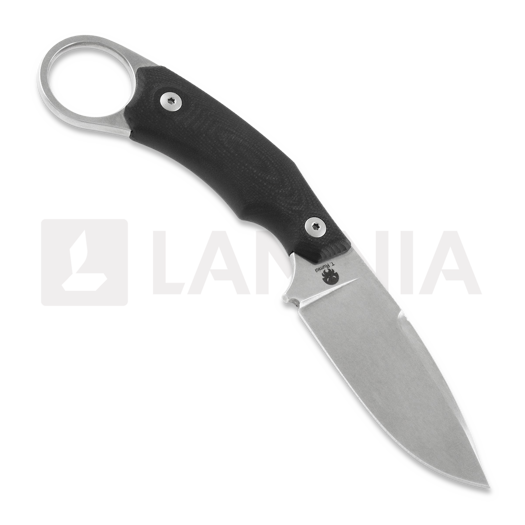 Lionsteel H2 Drop Point knife, black G10 H2GBK