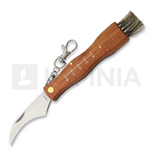 MAM Mushroom Knife összecsukható kés