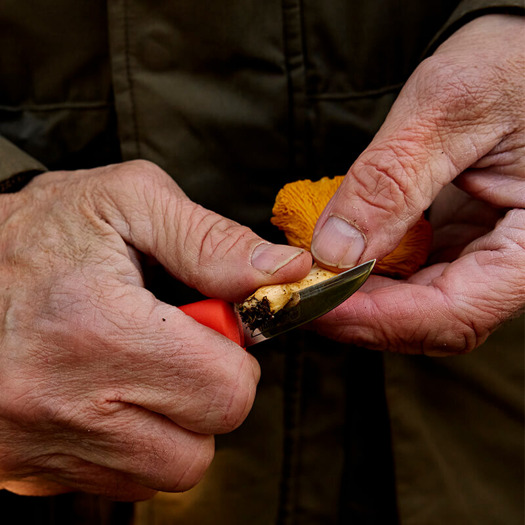 Marttiini Ruska, Mushroom knife 709015