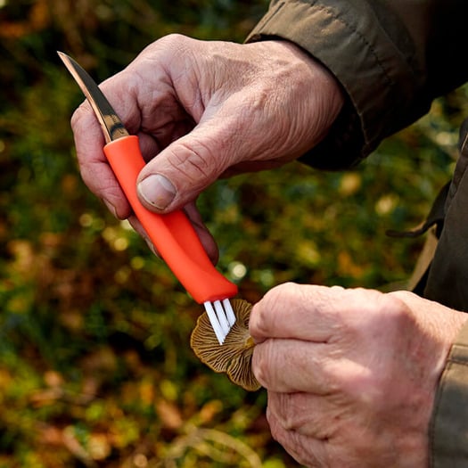 Marttiini Ruska, Mushroom knife 709015