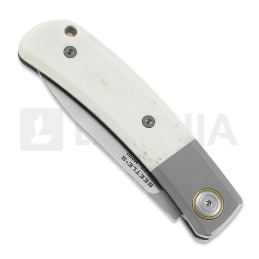 Maxace Beetle-S Bone sulankstomas peilis