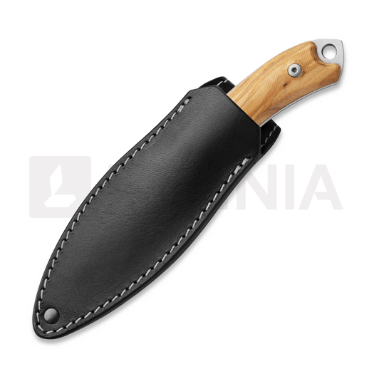 MKM Knives Pocket Tango 4 - Satin - Olive Wood kniv MKPT4-O