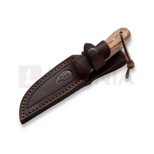 Nóż myśliwski Muela Bison Olive