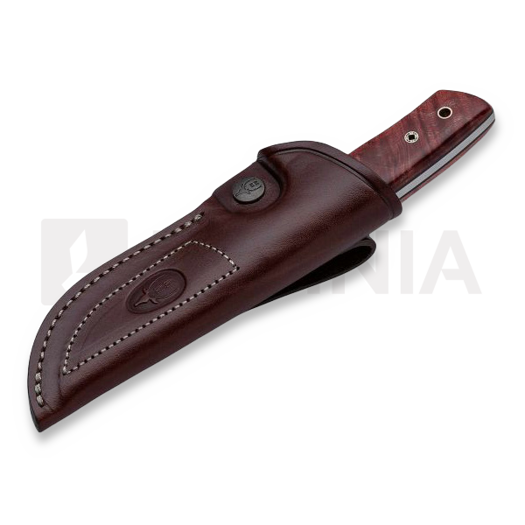 Jahinuga Muela Kodiak Anniversary