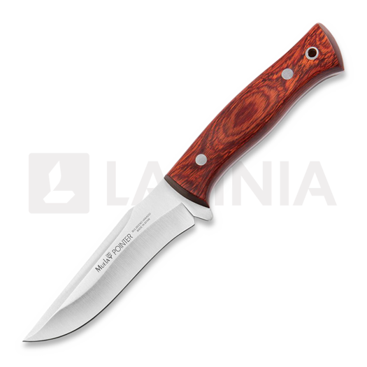 Muela Pointer