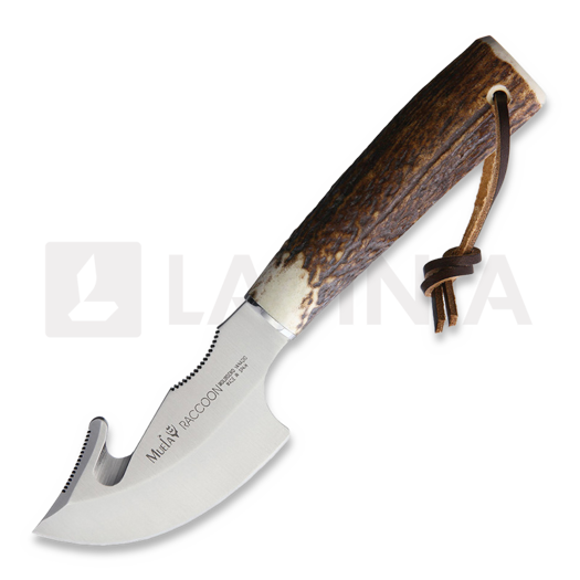 Muela Raccoon 8A