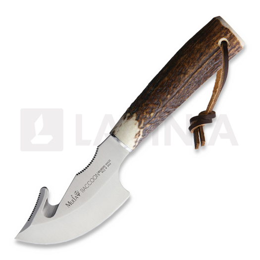 Muela Raccoon 8A
