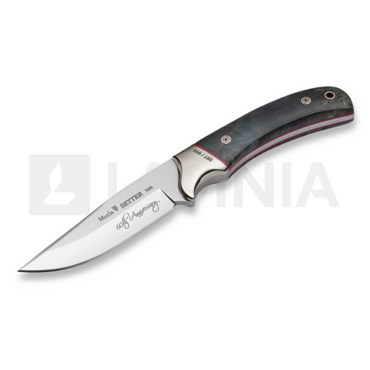 Jahinuga Muela Setter Anniversary