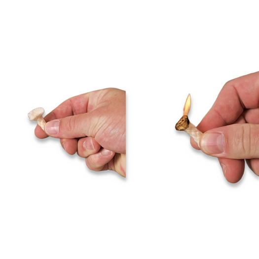 NDuR Tinder Quik Fire Starting Tabs