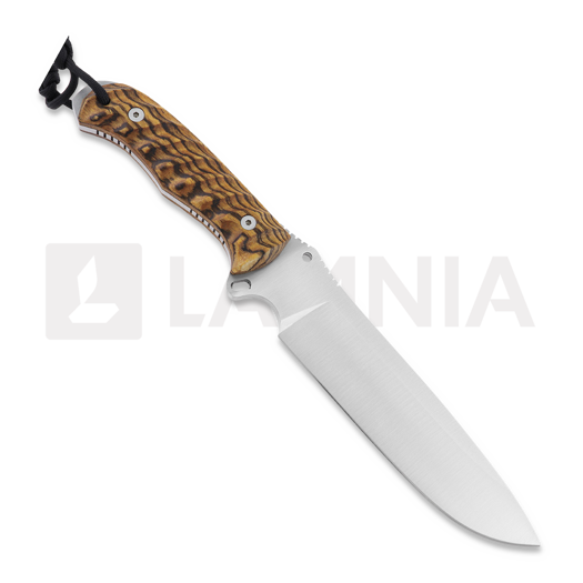 Nieto Desert Fox knife, bocote 4058-B