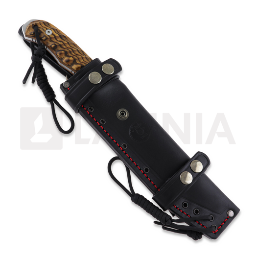 Nieto Desert Fox veitsi, bocote 4058-B