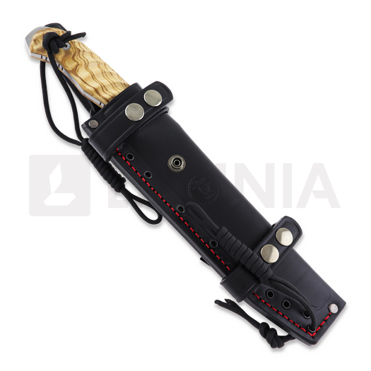 Nieto Desert Fox veitsi, olive 4058-O