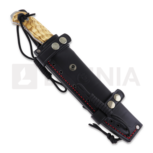 Nieto Desert Fox kniv, olive 4058-O