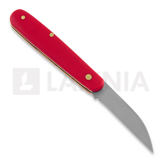 Otter Carnation, rouge