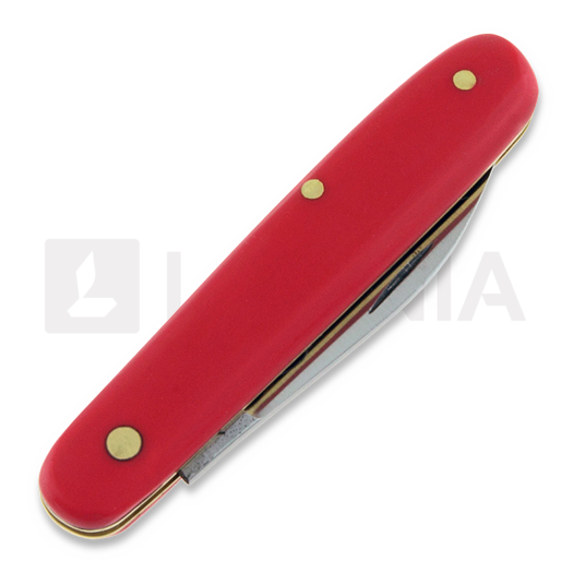 Otter Carnation, rouge