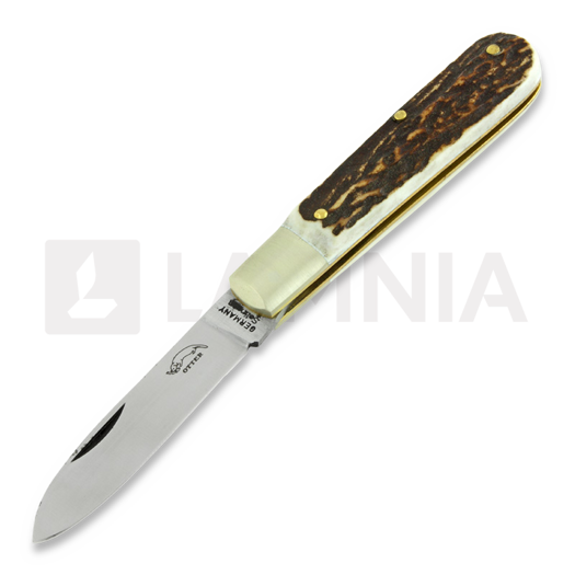 Otter Small buckhorn knife folding knife