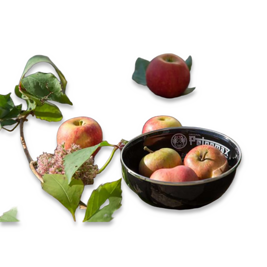 Petromax Enamel Bowls 2 pieces, crna