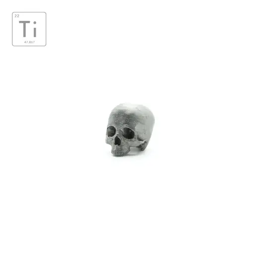 Prometheus Design Werx Anatomical Memento Mori Lanyard Bead Titanium