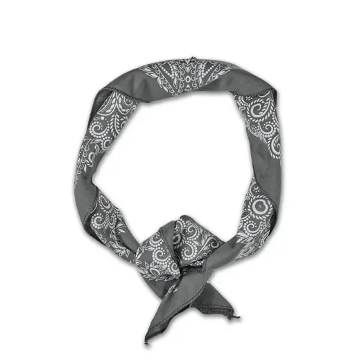 Prometheus Design Werx Paisley Mythosaur Bandana