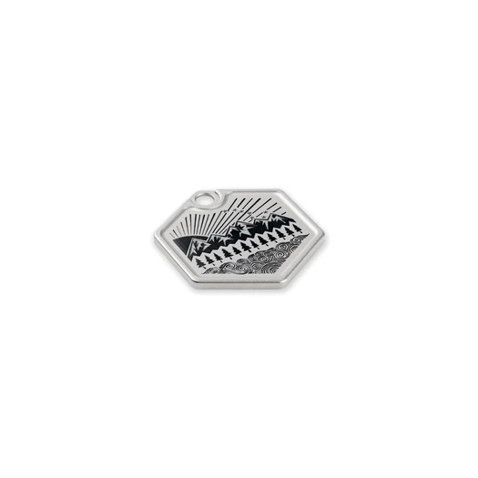 Prometheus Design Werx Ti-Hex Tag - All Terrain