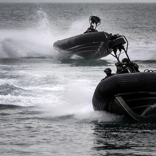 Prometheus Design Werx Ti-MNPara Strap - Black