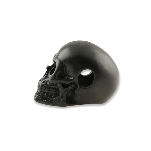 RaidOps Skull Ghost Rider