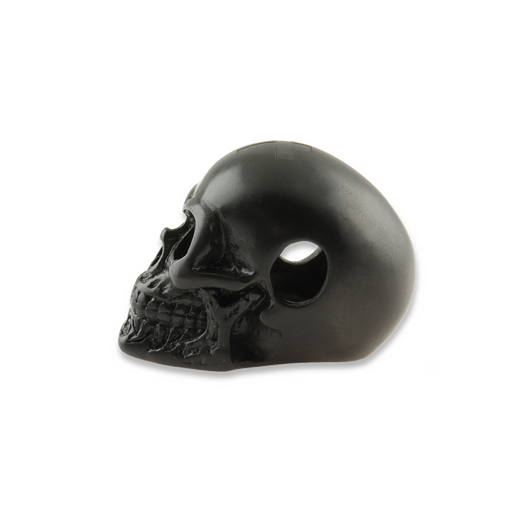 RaidOps Skull Ghost Rider