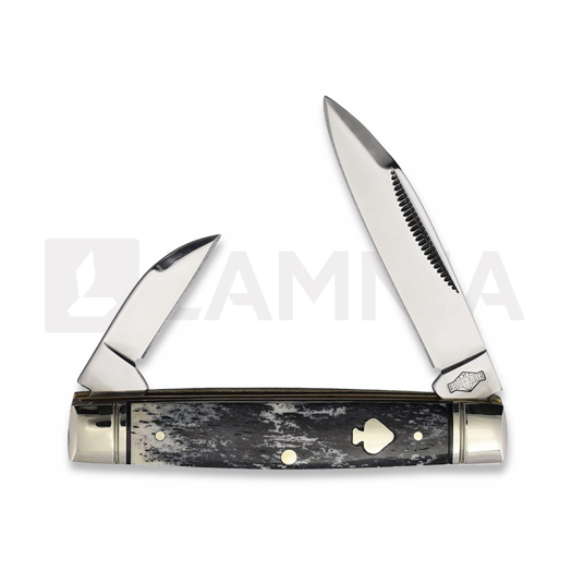 Rough Ryder Black Appaloosa Capital Intern pocket knife