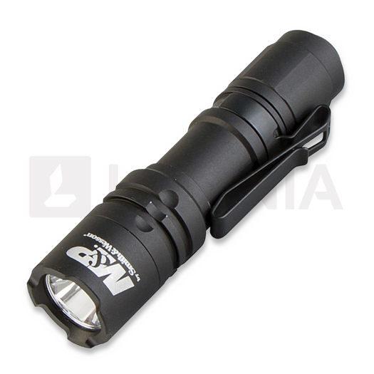 Smith & Wesson Delta Force CS 10