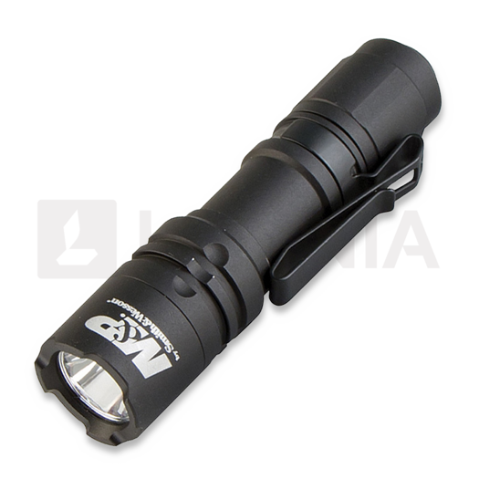 Smith & Wesson Delta Force CS 10