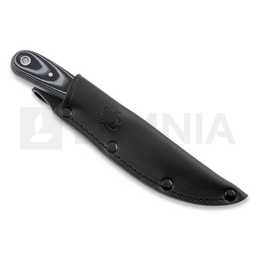 Coltello Spyderco Bow River FB46GP