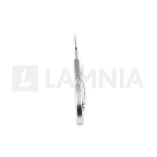 Spyderco Dragonfly folding knife, combo edge C28S