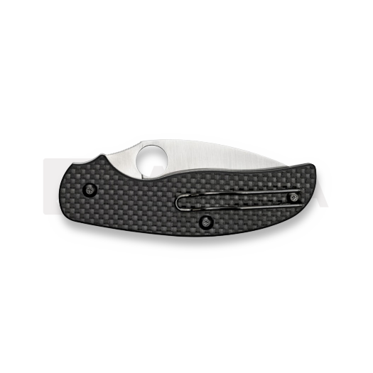 Spyderco Sage 1 foldekniv C123CFP