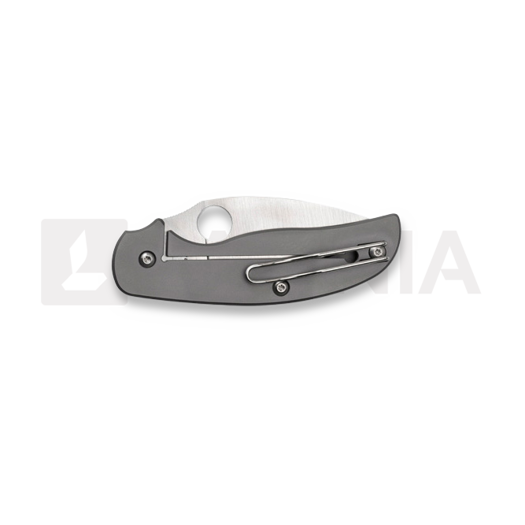 Spyderco Sage 2 kääntöveitsi C123TIP