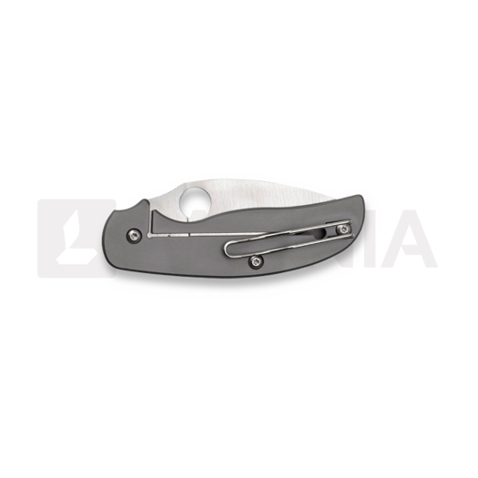 Spyderco Sage 2 folding knife C123TIP