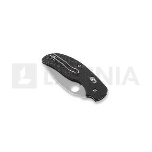 Spyderco Sage 3 foldekniv C123CFBAP