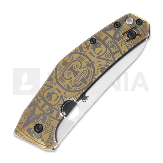 Coltello pieghevole Spyderco SpydieChef CQI, gold maya C211TIPLS12