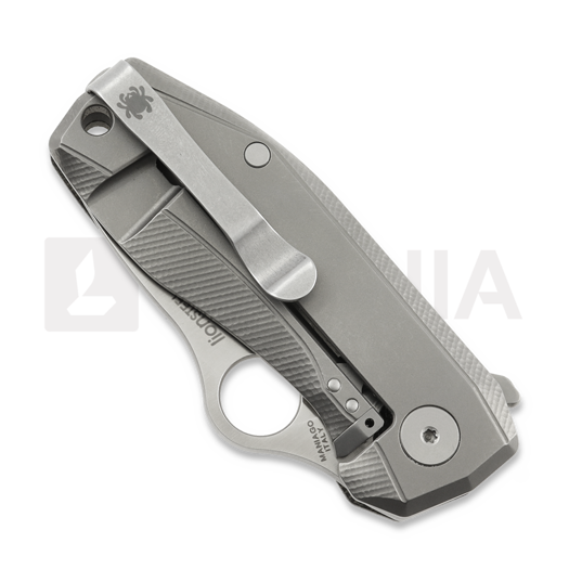 Spyderco SpyNano FLASH BATCH Taschenmesser C268MTIP