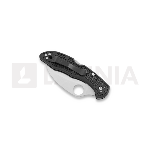 Spyderco Tasman Salt 2 折叠刀, 黑色 C106PBK2