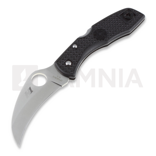 Couteau pliant Spyderco Tasman Salt, noir C106PBK