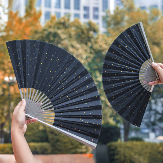Titaner Ti Fan 4.0 (9.2in)
