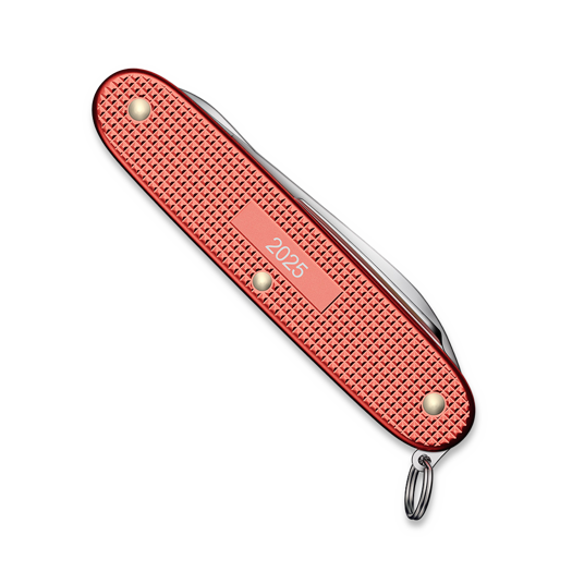 Attrezzo multifunzione Victorinox Pioneer X Alox Stone Red LE 2025