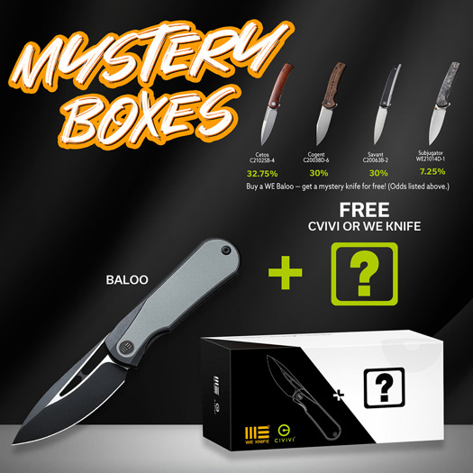 We Knife Baloo Mystery Box 1 WE21033-1