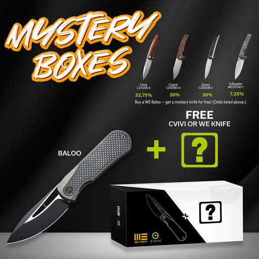 We Knife Baloo Mystery Box 2 WE21033-2