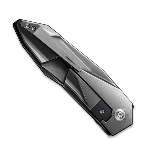 We Knife Solid, Gray Titanium, Polished WE22028-6