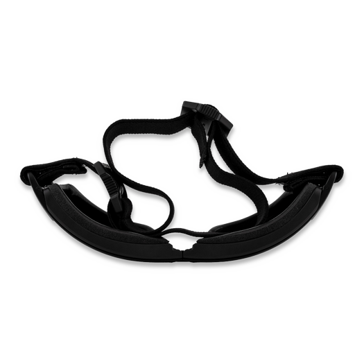 Wiley X Lynx Goggle Grey And Clear Lens Frame BLACK