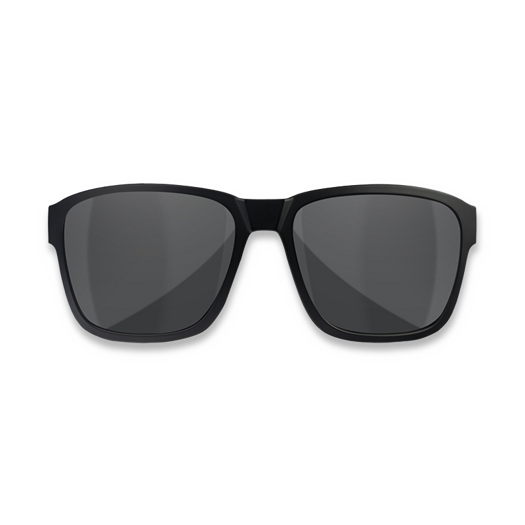 Wiley X Trek 1 משקפי ירי